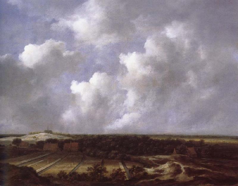 Jacob van Ruisdael View of the Dunes near Bl oemendaal with Bleaching Fields France oil painting art